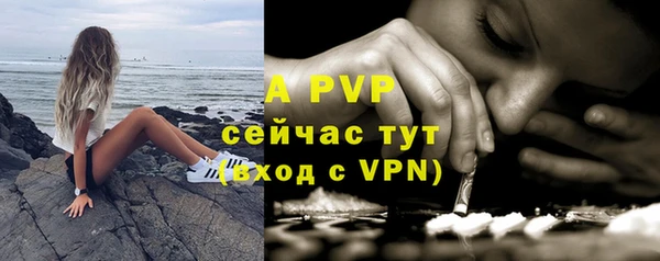стафф Богданович