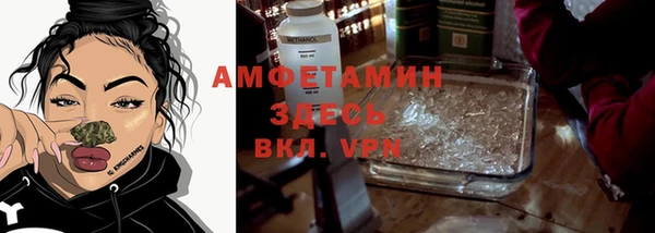 стафф Богданович