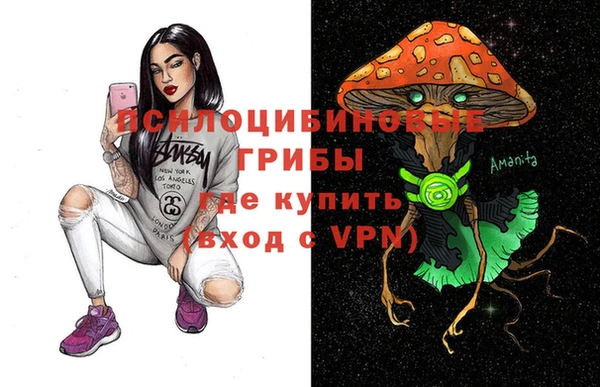 прущие крисы Богородицк