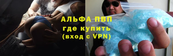 стафф Богданович