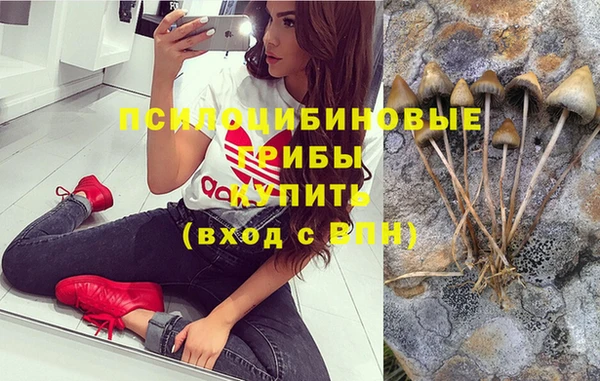 стафф Богданович