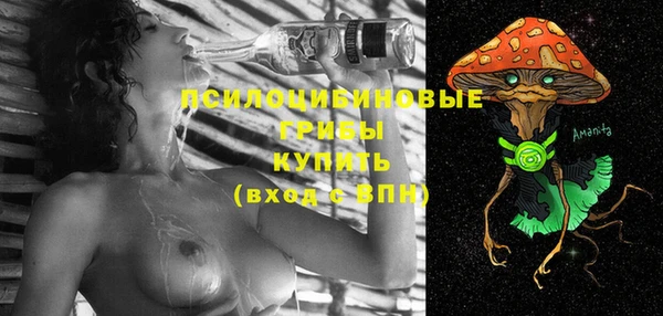 прущие крисы Богородицк