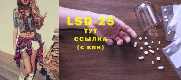 стафф Богданович