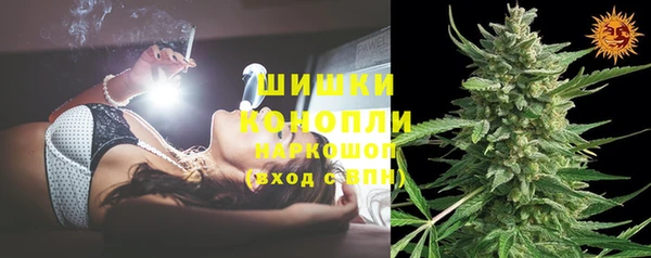 стафф Богданович